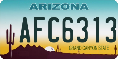 AZ license plate AFC6313