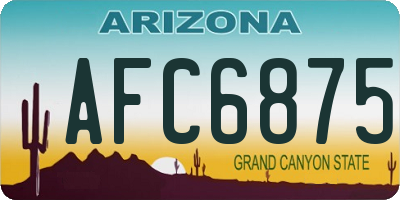 AZ license plate AFC6875
