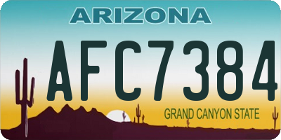 AZ license plate AFC7384