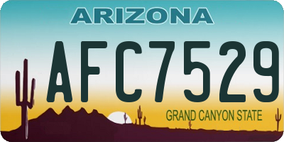 AZ license plate AFC7529