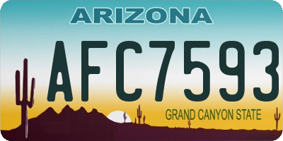 AZ license plate AFC7593