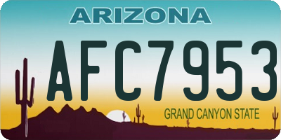 AZ license plate AFC7953