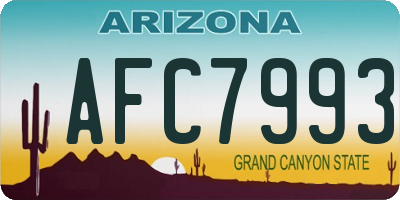 AZ license plate AFC7993