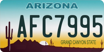 AZ license plate AFC7995