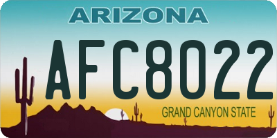 AZ license plate AFC8022