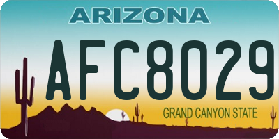 AZ license plate AFC8029