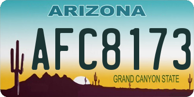 AZ license plate AFC8173