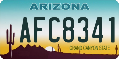 AZ license plate AFC8341