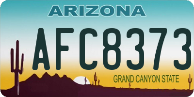 AZ license plate AFC8373