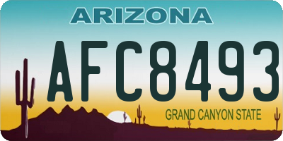 AZ license plate AFC8493