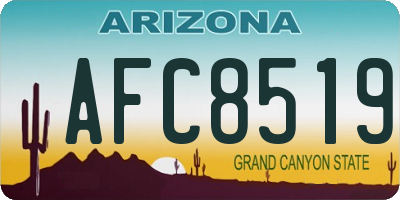 AZ license plate AFC8519