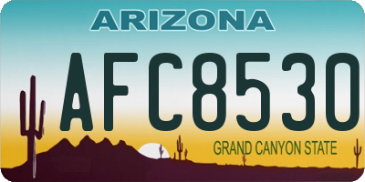 AZ license plate AFC8530