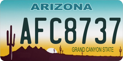 AZ license plate AFC8737