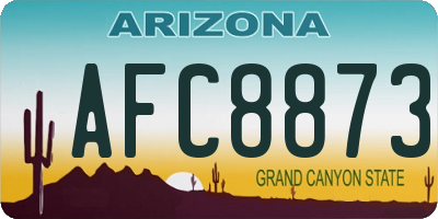 AZ license plate AFC8873