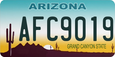 AZ license plate AFC9019