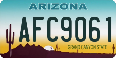 AZ license plate AFC9061
