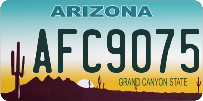 AZ license plate AFC9075