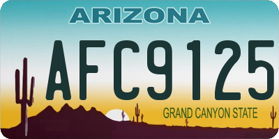 AZ license plate AFC9125