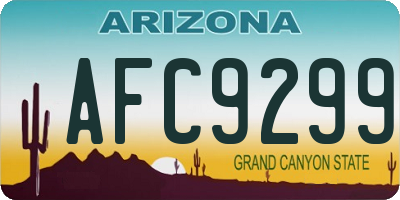 AZ license plate AFC9299