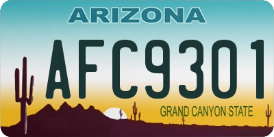 AZ license plate AFC9301