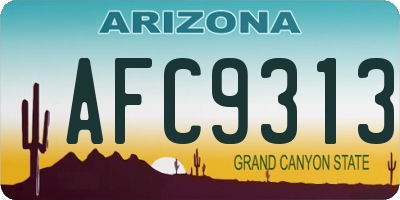AZ license plate AFC9313
