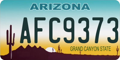 AZ license plate AFC9373