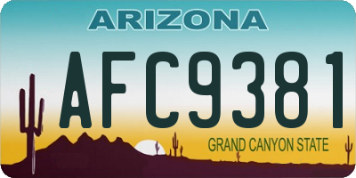 AZ license plate AFC9381