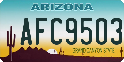 AZ license plate AFC9503