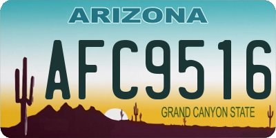 AZ license plate AFC9516