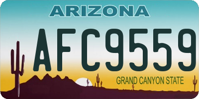 AZ license plate AFC9559