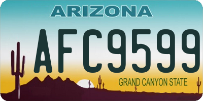 AZ license plate AFC9599