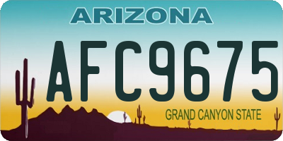 AZ license plate AFC9675