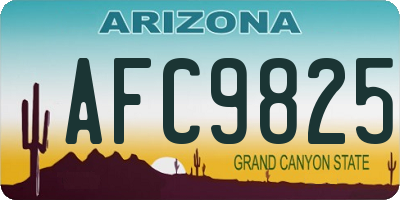 AZ license plate AFC9825