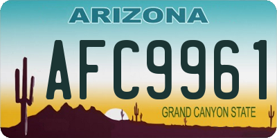 AZ license plate AFC9961