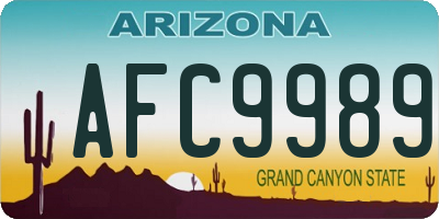 AZ license plate AFC9989