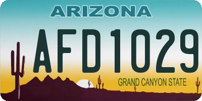 AZ license plate AFD1029