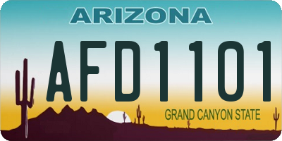 AZ license plate AFD1101