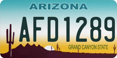 AZ license plate AFD1289