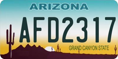 AZ license plate AFD2317