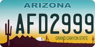 AZ license plate AFD2999