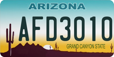 AZ license plate AFD3010