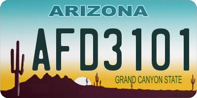 AZ license plate AFD3101