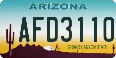 AZ license plate AFD3110
