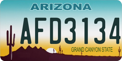 AZ license plate AFD3134