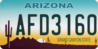 AZ license plate AFD3160