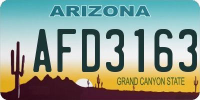 AZ license plate AFD3163