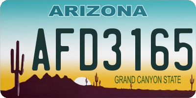 AZ license plate AFD3165