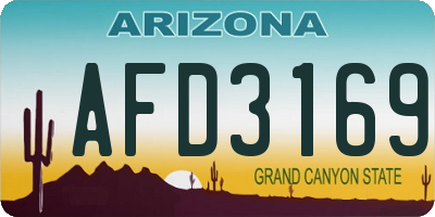AZ license plate AFD3169