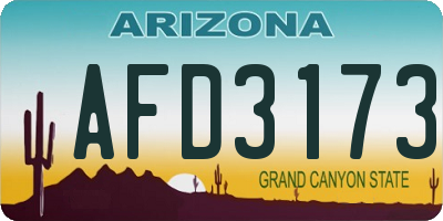 AZ license plate AFD3173