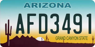 AZ license plate AFD3491